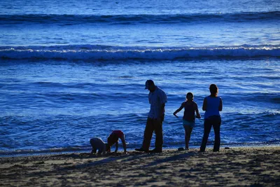 DSC_1248 (Large).JPG